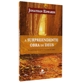 A Surpreendente Obra de Deus | Jonathan Edwards