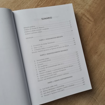 image_3113e133-e6c4-4ad8-8231-eab196416168