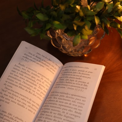 image_bf81a261-971c-4140-982f-dfcc335b3559