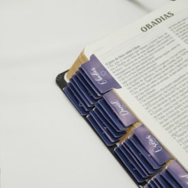 Segunda imagem do produto Abas Adesivas para Bíblias | Marcador Índice Israel Azul