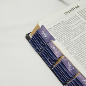 Segunda imagem do produto Abas Adesivas para Bíblias | Marcador Índice Israel Azul