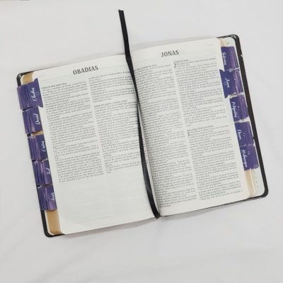 image_0bae8a41-da3c-480c-ae6f-8ac75fd9d390