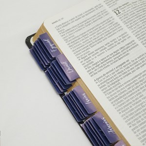 Abas Adesivas para Bíblias | Marcador Índice Israel Azul
