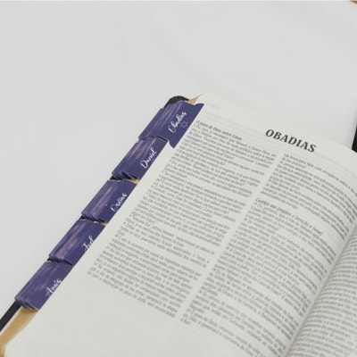 image_4a6dace7-d1e6-4adc-853c-d3c3ae9cd84a