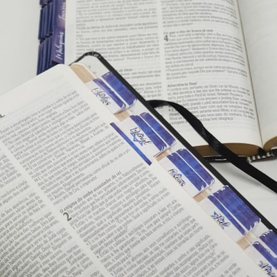 image_576ce490-c3ce-4111-8199-c4efe5648279