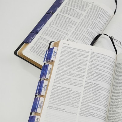 image_2225b20e-dcd3-4c16-bffd-402392348807