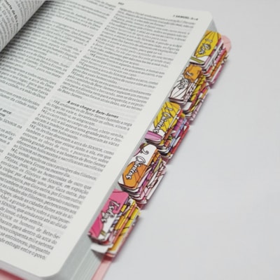 image_cbe2d9a8-b7b2-4525-91b3-0c89de0415ab