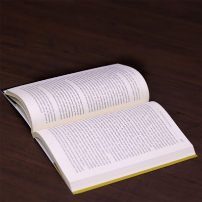 image_e5064c52-e5be-480a-a542-6b21d4d2fa5d