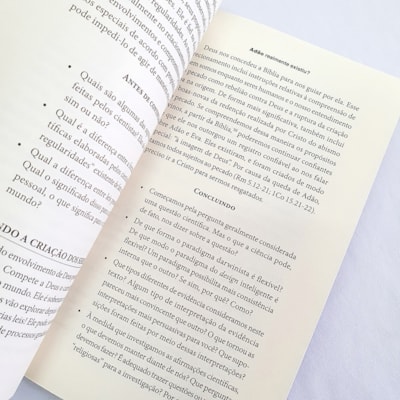 image_517ea974-2965-4c6a-b60b-793f2b3d54a4