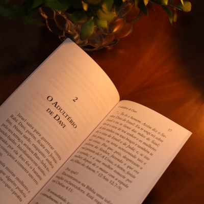 image_fdee30b2-143b-4b73-a16f-98520e3c6d14