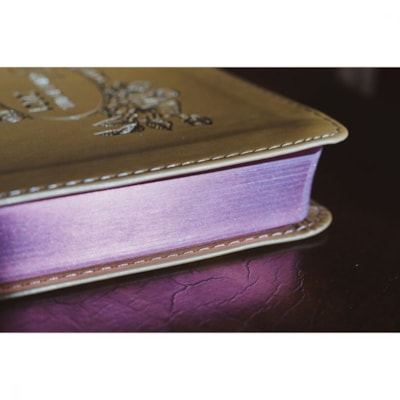 image_526ebbe6-9aea-41fa-afec-ac7a3002010a