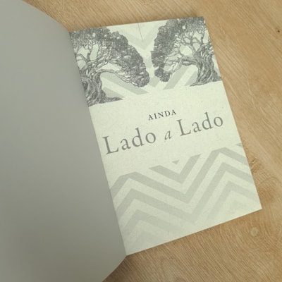 image_241f7802-9dd4-463b-8c36-78418da3f9cd