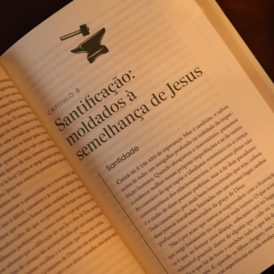 image_139f8101-1969-4d82-a729-736c2f3fe003