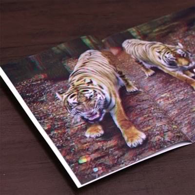 image_91fc09d1-6b1c-4583-b280-a1afc44b04ae