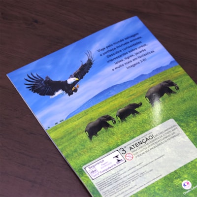 image_525a11b8-b36a-4b08-9cf6-3f2c8f9f64aa