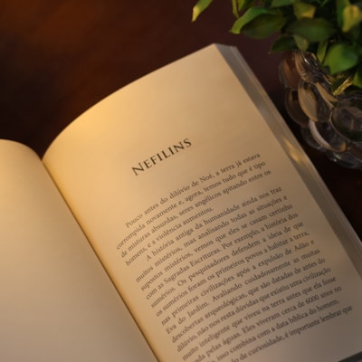 image_6356d5e9-9b6a-41ee-b62d-93cfa9d629cd