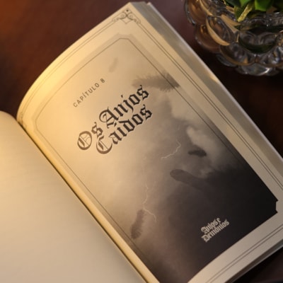 image_46da7b84-0aaf-4bc7-b205-5784f21860b4