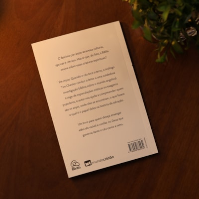 image_6e64e0e8-2894-4102-885e-a830dfefeee2