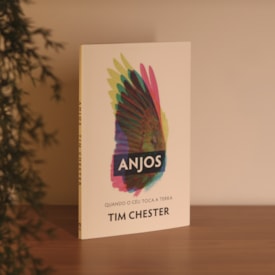 Segunda imagem do produto Anjos | Tim Chester