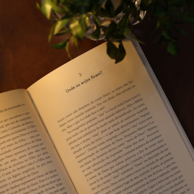 image_2502ee2a-e755-4762-ae3a-286580f05461