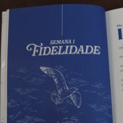 image_53a3966f-dfc4-40d2-902b-ed67c985515a