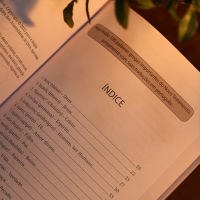 image_332931a4-5e58-4ba3-9752-f33bd7282e22