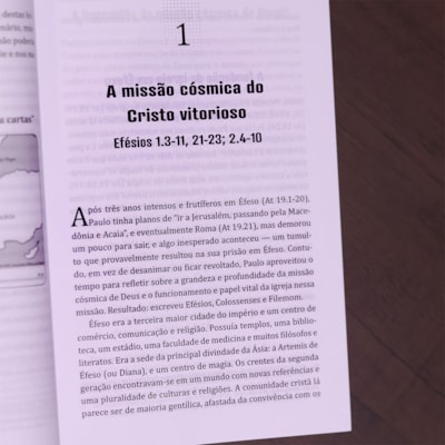 image_d73a1dcc-978d-408e-8809-2775d69e4269