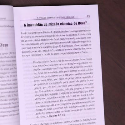 image_c2731132-8259-4013-93eb-f6ad8cb43a4c