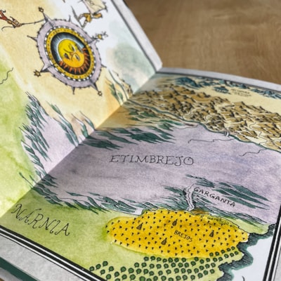 image_e0711513-e315-4ffa-95bc-af69ba525e06