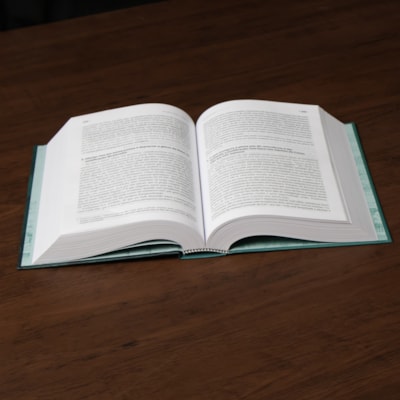 image_c8d69168-f9fd-438b-b705-bfd32c5835bc