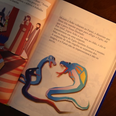 image_988d64d6-0f96-433a-86b8-101d1457ad06