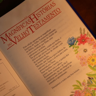 image_5fb238e1-e6da-490b-b7f4-0149cc511c02