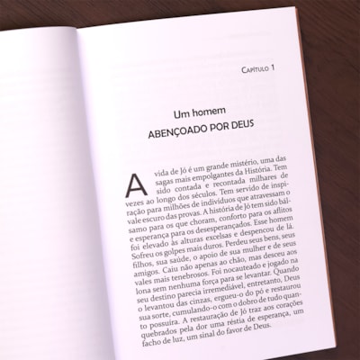 image_2a04857b-29fe-4d0b-8fe2-cb104cb48165