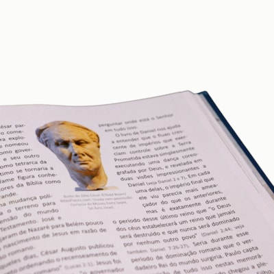 image_26df6920-4b18-45dc-a813-84da598a6e6d