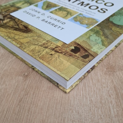 image_24d9f128-89f3-4d75-8f51-f73c991ad641