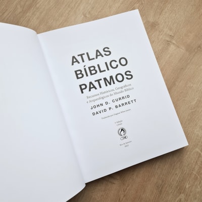 image_98113f81-a55c-45c2-8f95-ee618b9a97b6