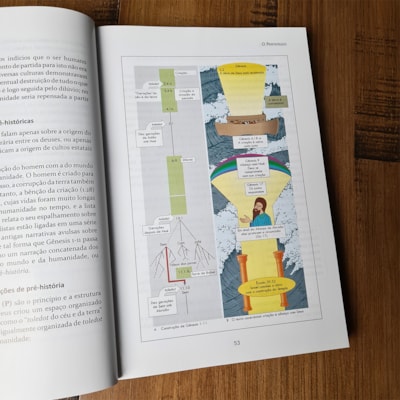 image_e25c61d0-6cd1-4087-a513-001d39553183