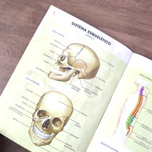 Atlas do Corpo Humano | Edição Revisada e Atualizada