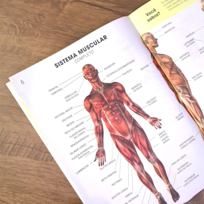 image_2725bc8c-1ffb-479f-bb4e-17db318d3998