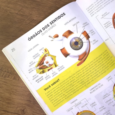 image_5ec8a12b-184a-4f2b-ae5d-64bd9513ba4e