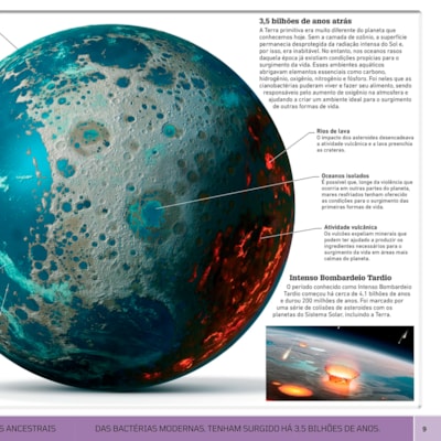 image_808e083d-1e7e-4aac-81c5-5f4d28c0e50c