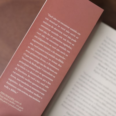 image_40ac846f-bd10-4a3a-b515-de2956b0f28e