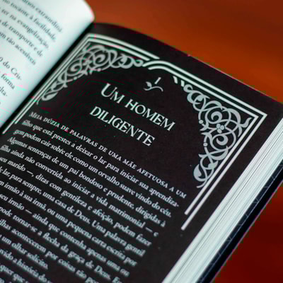 image_86c4fa90-da24-477f-b6f7-1b063db0bc56