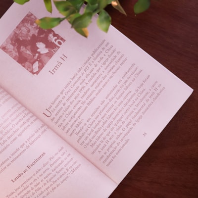 image_d149845e-5f35-4417-96ed-2d325e48d712