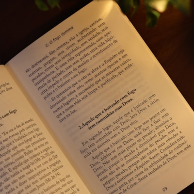 image_fd6e1fdb-5268-41b4-b58d-632e9ab8ec1a