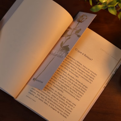 image_07efdca8-e770-46bb-ad3d-0f981cfa07d7