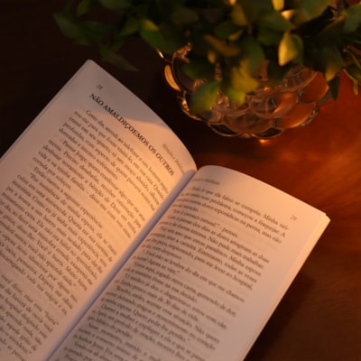 image_d8dc1c9d-e822-41c1-88be-d6021f4ed23e