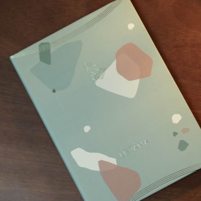 image_88c2048c-8529-404e-a656-8a30b3204b98