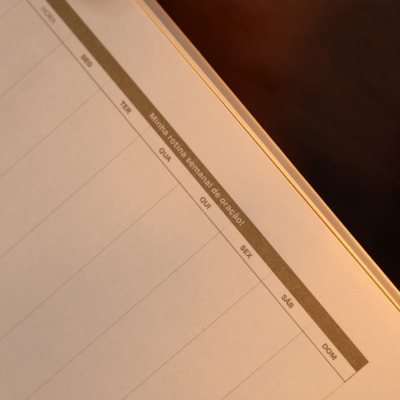 image_08397a83-ce20-4d37-bd94-9d0f621c53b7