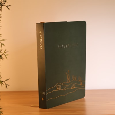 image_caa485d4-b0b0-4f22-b398-e2147f170632